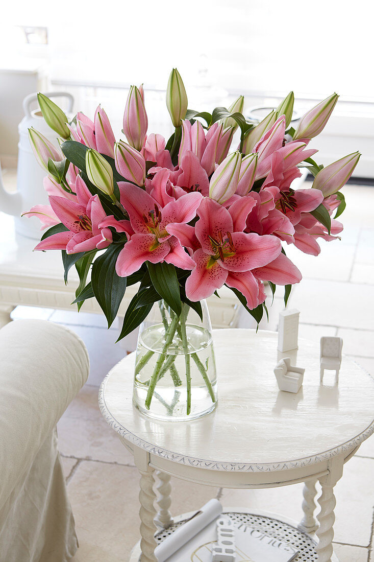 Lilium 'Gran Design'