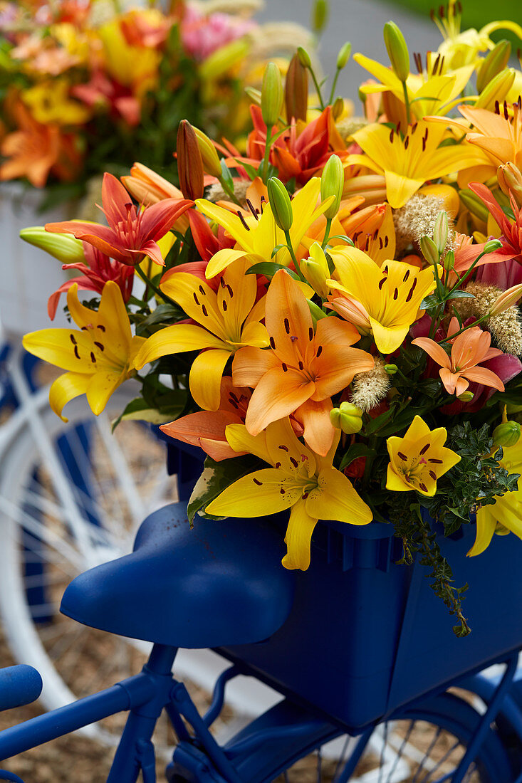 Gemischte Lilien auf Fahrrad