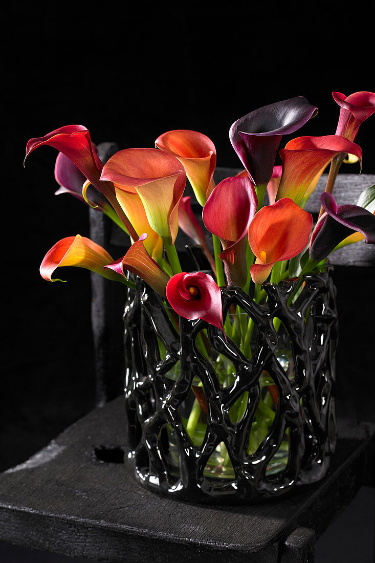 Zantedeschia on vase