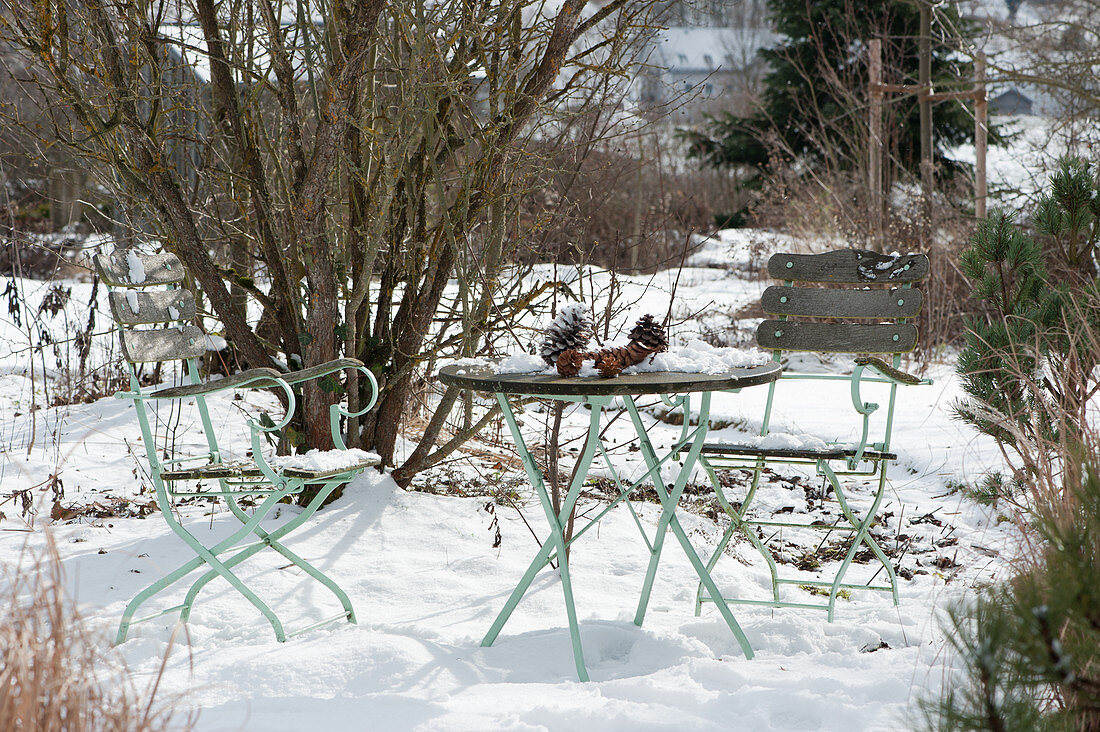 Seating area in the snowy garden