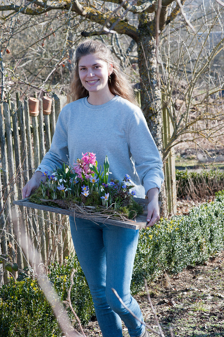 Frau trägt Brett mit Hyazinthen, Krokussen und Strahlenanemone