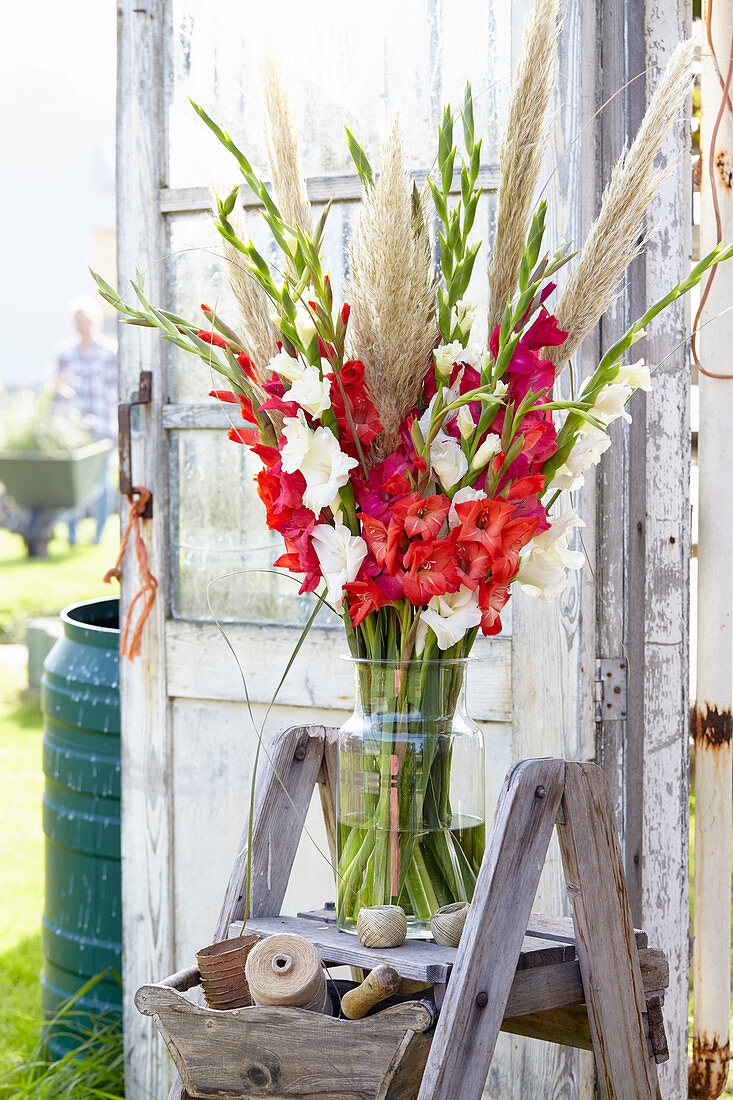 Gladiolus bouquet