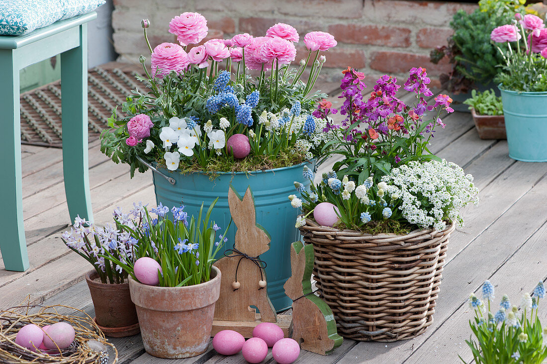 Pot arrangement with ranunculus, violets, grape hyacinths, gold lacquer, scented oak and squill, Easter eggs and Easter bunnies as decoration