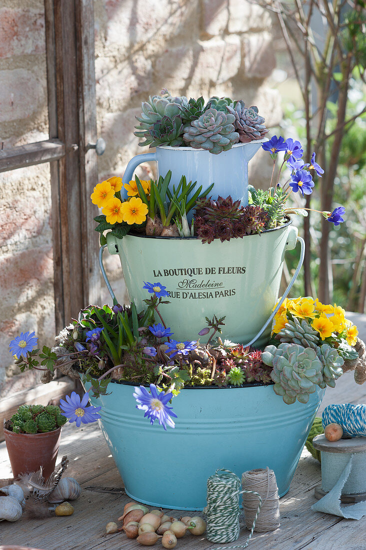 Etagere planted from misused household containers