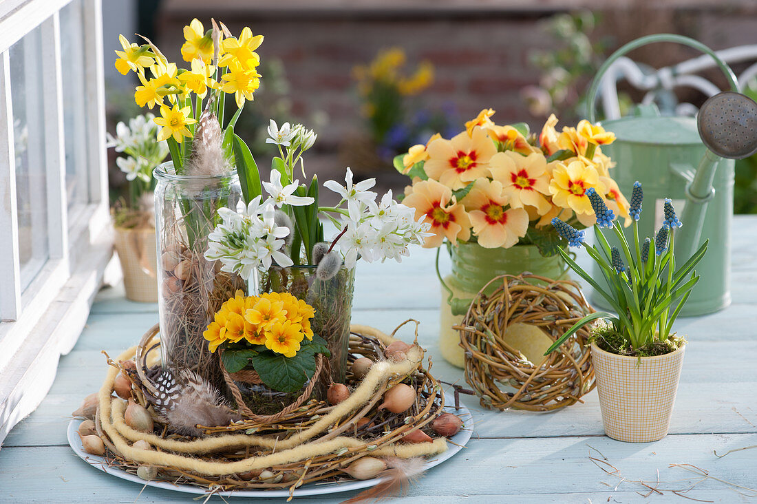 Spring decoration with primroses, daffodils, milk star and grape hyacinths