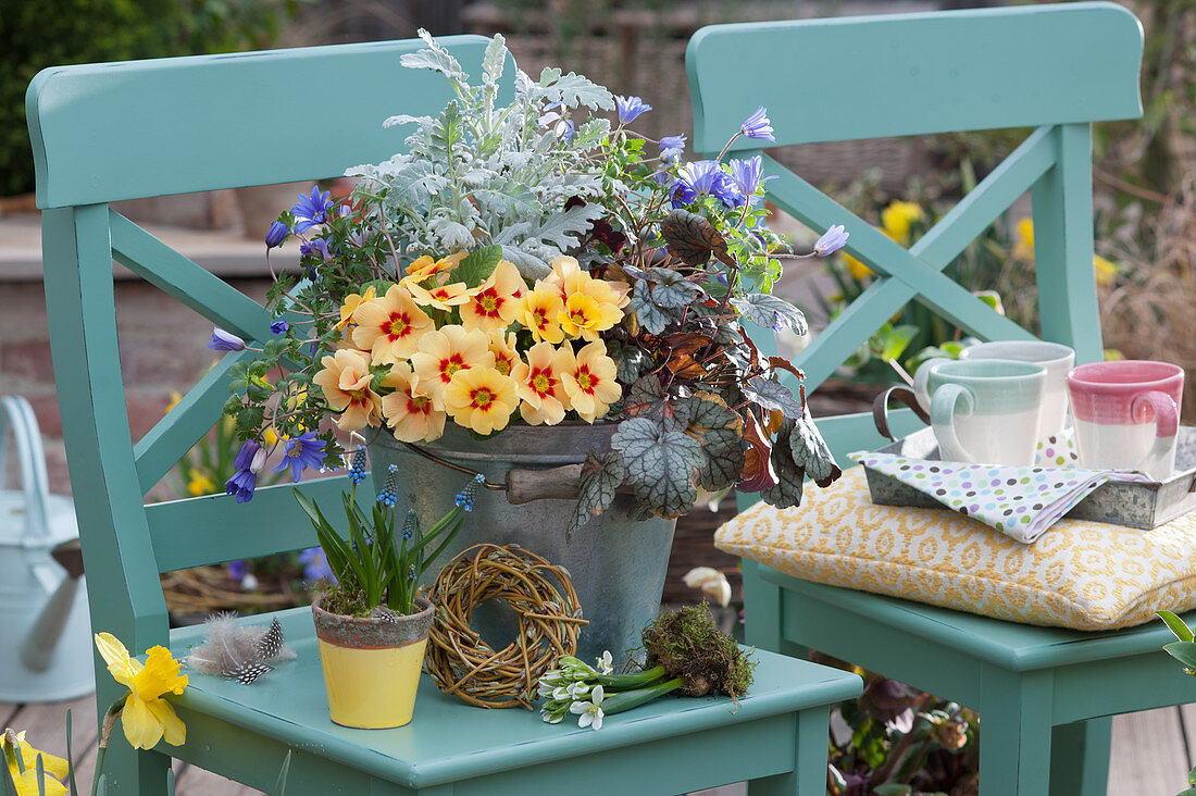 Spring decoration with primrose, ray anemones, grape hyacinth, purple bells, milk star and ragwort