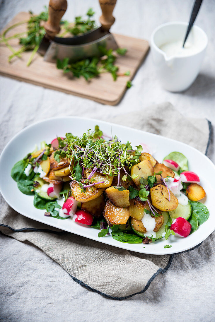 Fried potatoes with a colourful salad and a vegan yoghurt sauce