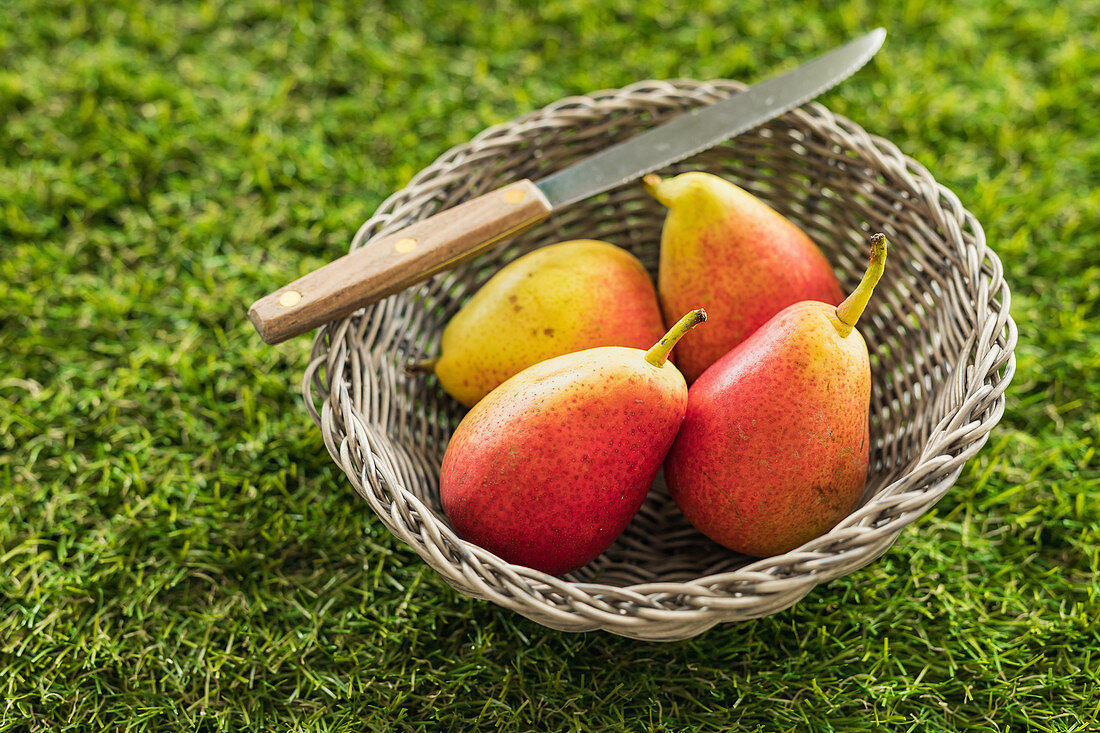 Four pears on a basket on green grass with knife