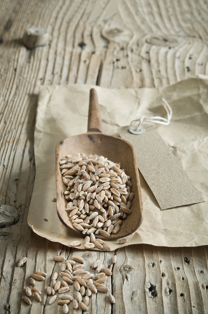 Organic spelt on a wooden scoops on a rustic wooden table