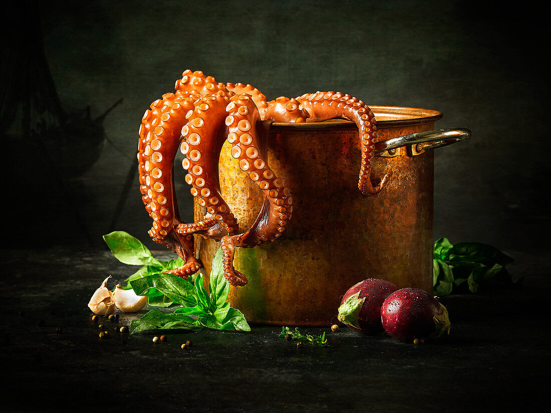 Oktopus auf Kochtopf mit frischen Zutaten