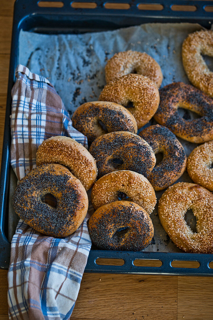 Bagels mit Mohn und Sesam auf Backblech