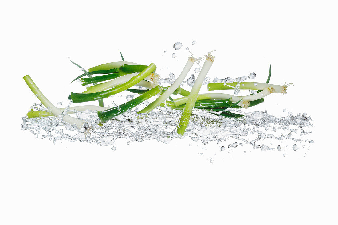 Spring onions with a splash of water