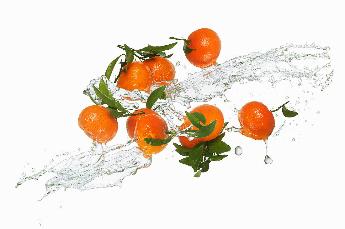 Mandarinen mit Wassersplash