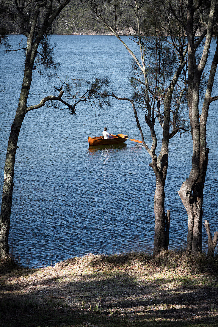 Blick durch Pinien auf einen See mit Ruderboot