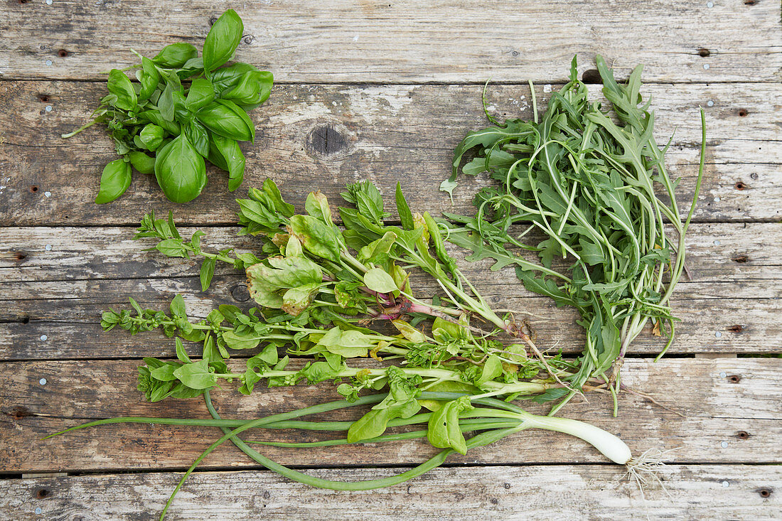 Freshly picked spinach, basil and rocket on wooden table
