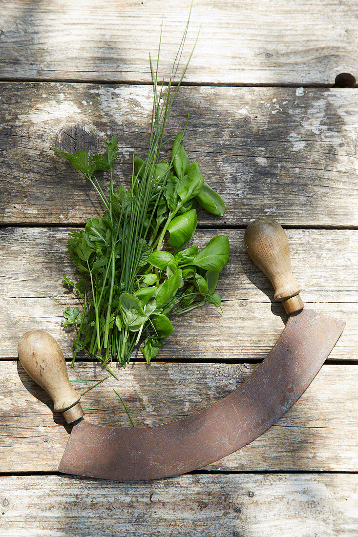 Fresh herbs and chopping knife on wooden table