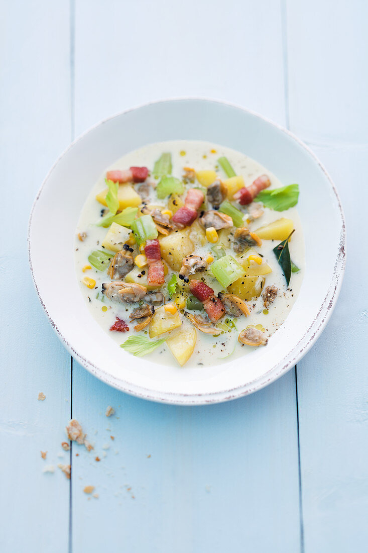 Clam chowder (mussel stew)