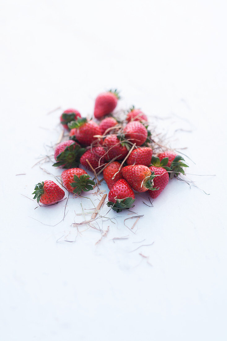 Erdbeeren als Zutaten für Trifle