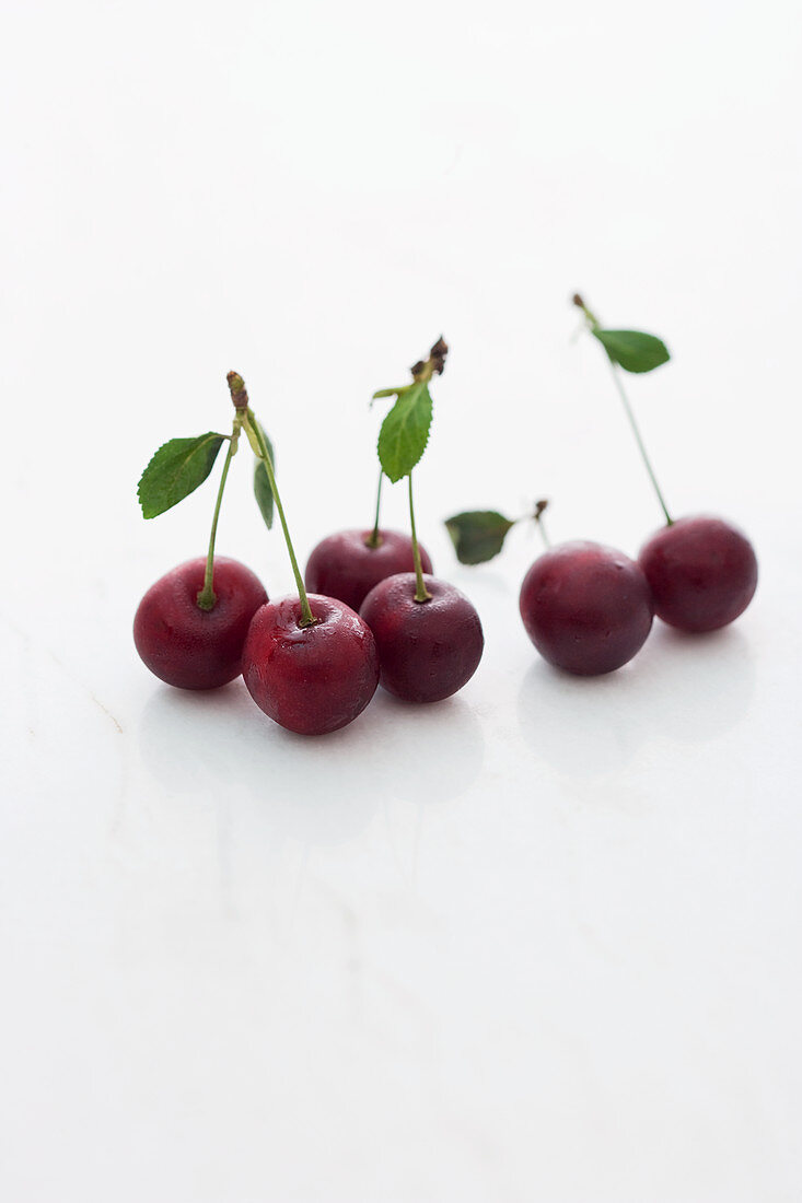 Sour cherries with stems on a white marble surface