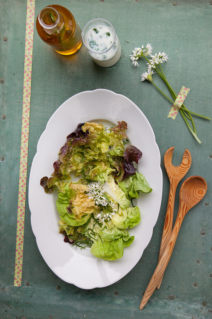 Blattsalat mit Bärlauchöl und Bärlauch-Buttermilch-Dressing