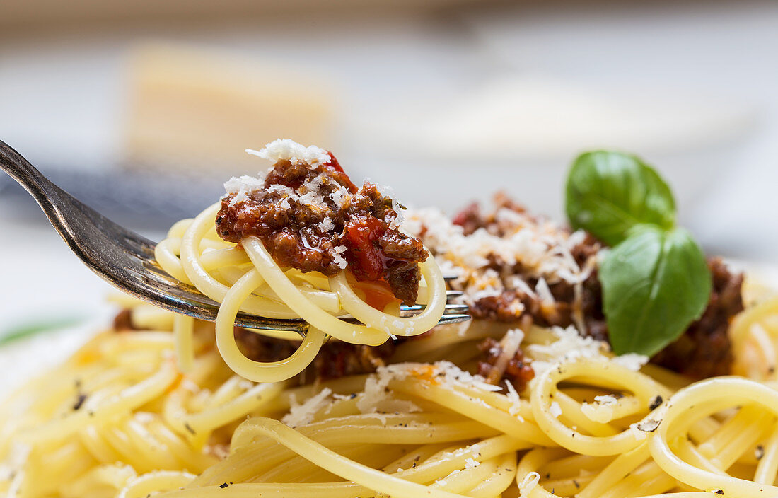 Spaghetti Bolognese close up