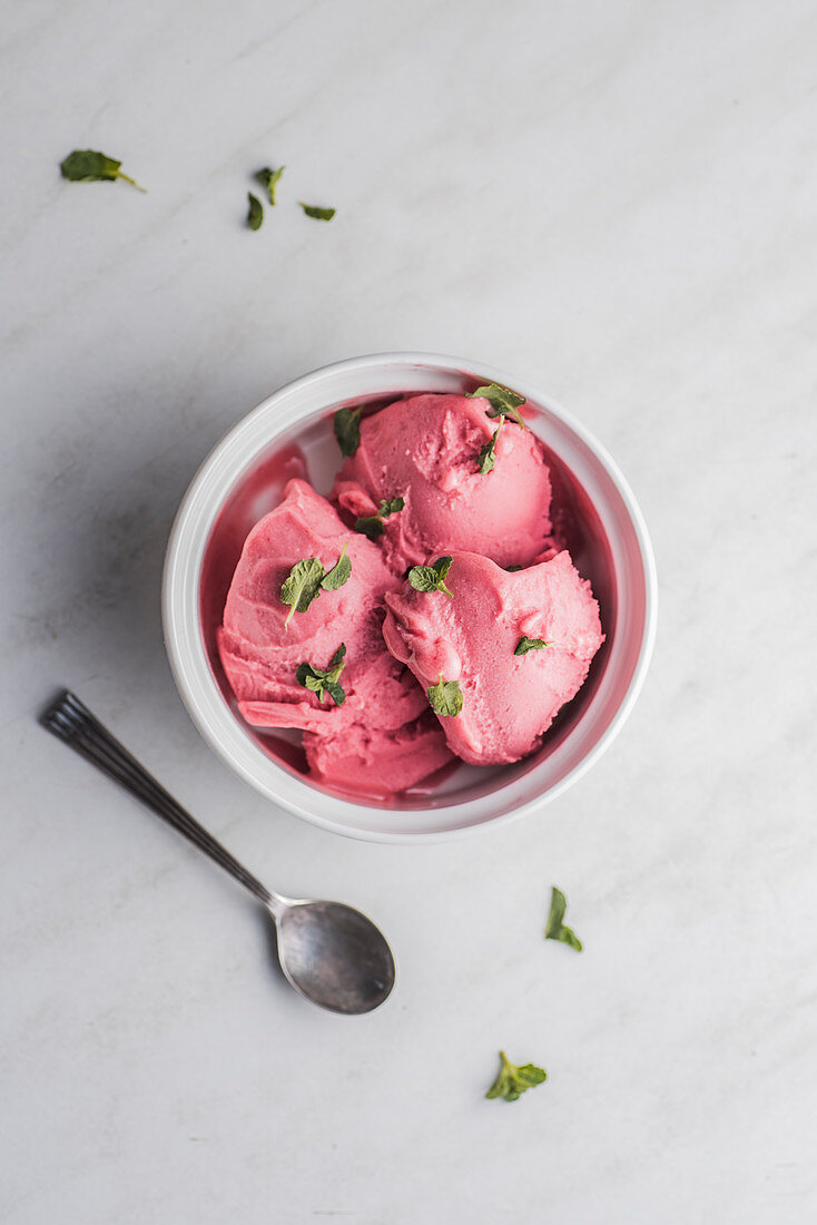 Himbeersorbet mit frischer Minze