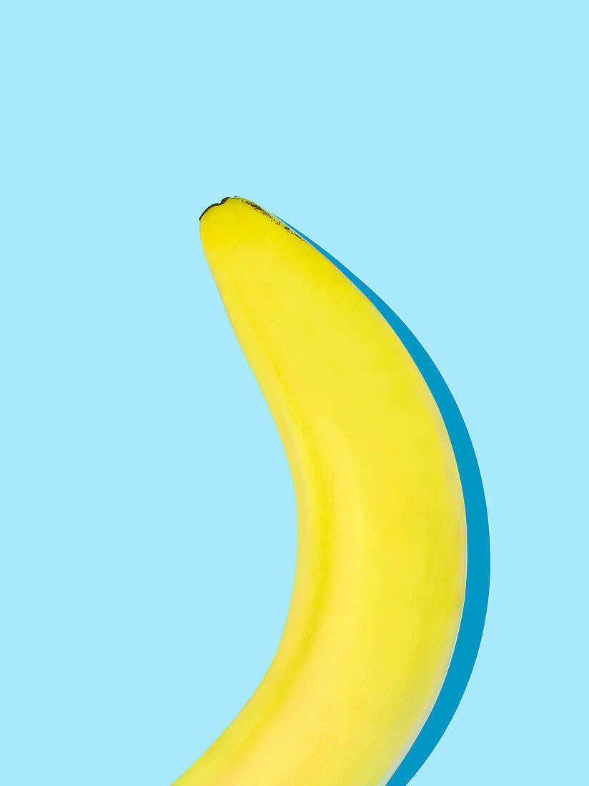 Eine Banane auf hellblauem Untergrund