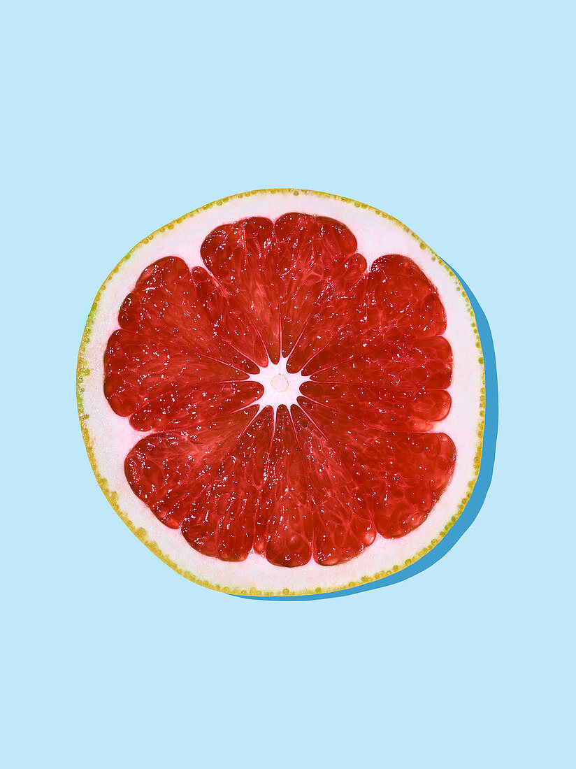 Ruby grapefruit slice