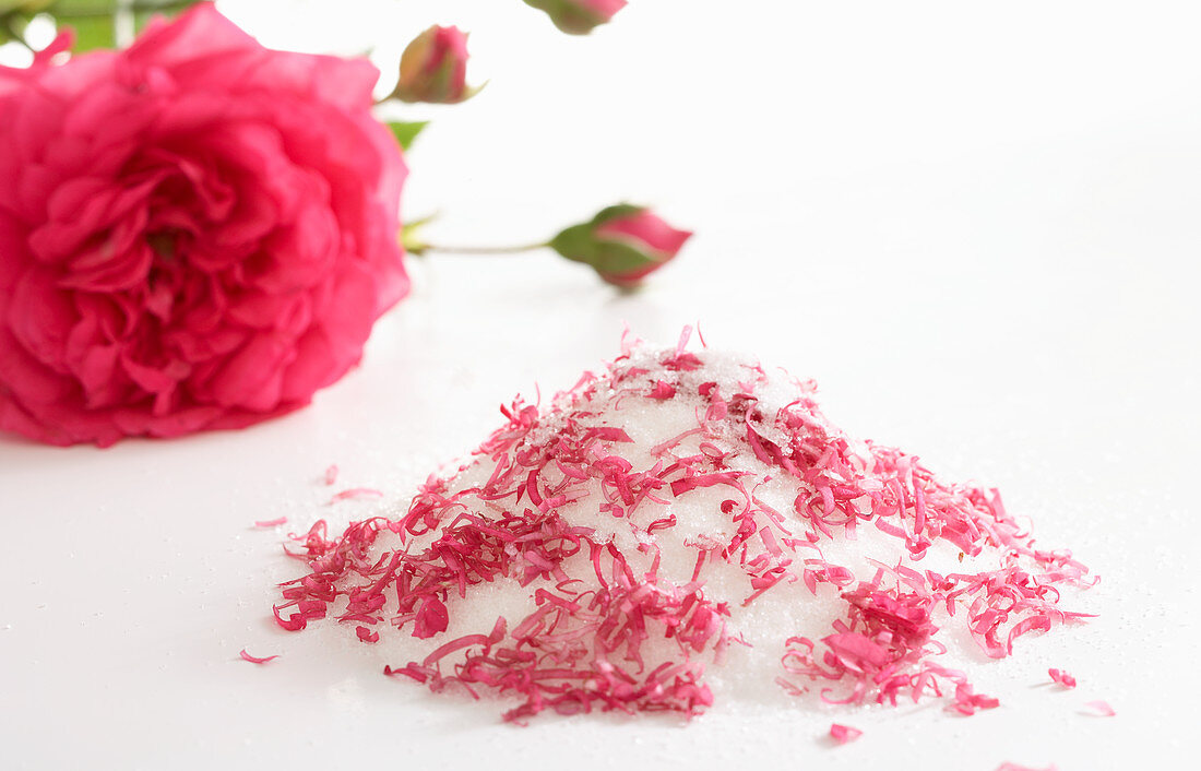 Selbstgemachte Zuckermischung mit frischen Rosenblütenblättern