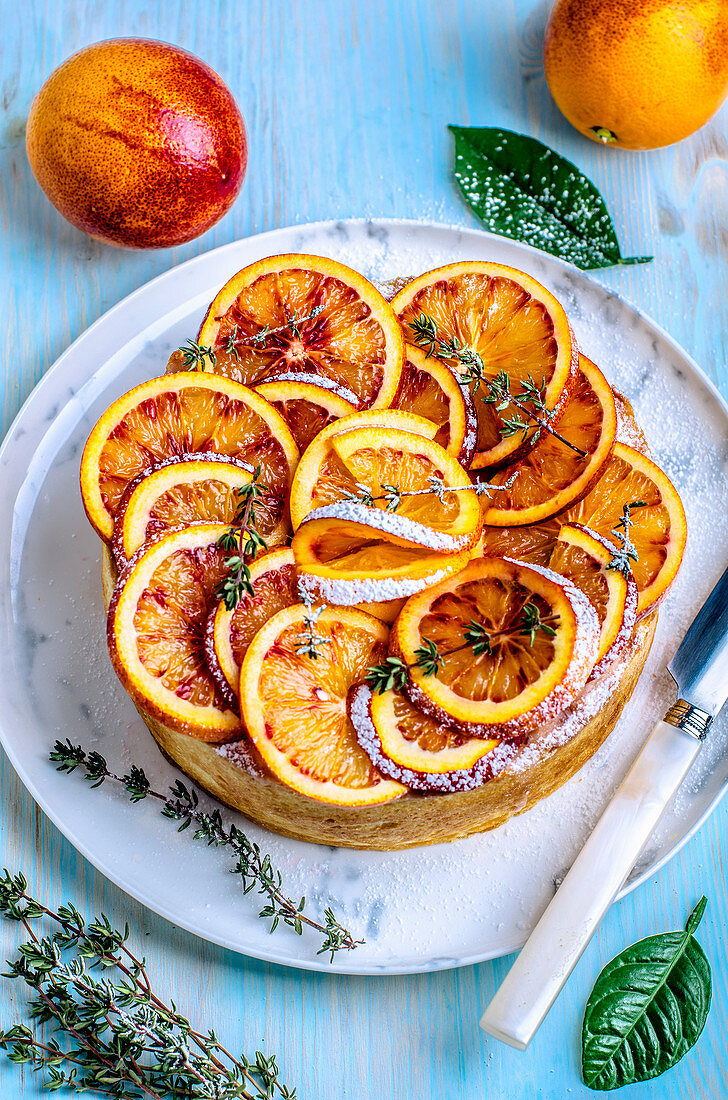 Cake with red oranges and thyme, dusted with icing sugar on a blue background