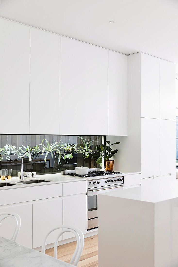 Simply modern white kitchen with plant terrarium as the back wall of the kitchen