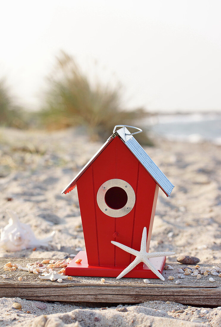 Bird box and starfish on beach