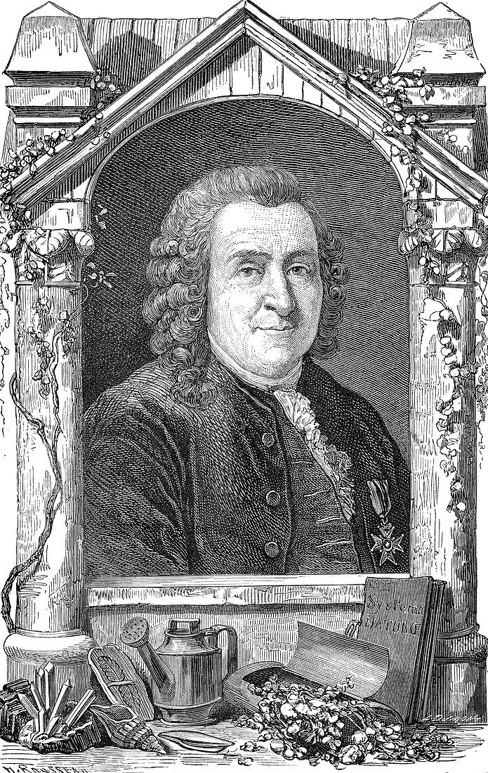Carl Linnaeus, Swedish Botanist