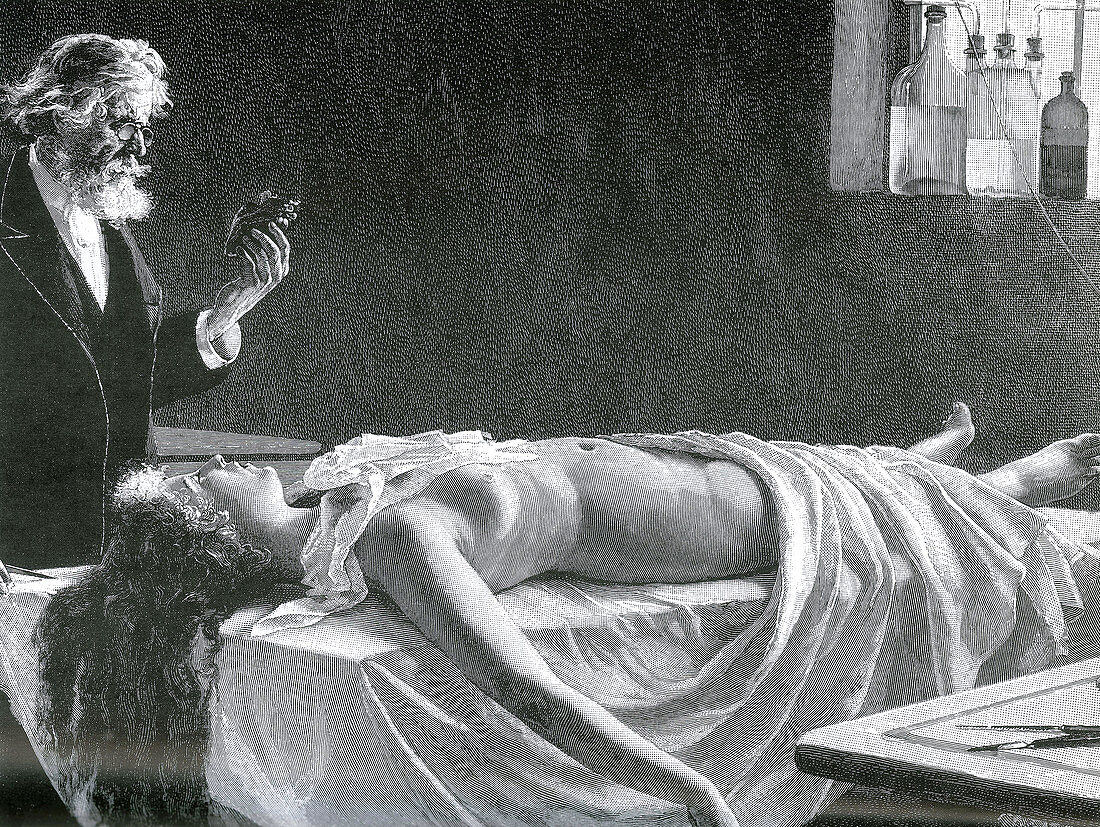 Autopsy, Heart's Anatomy , 1890