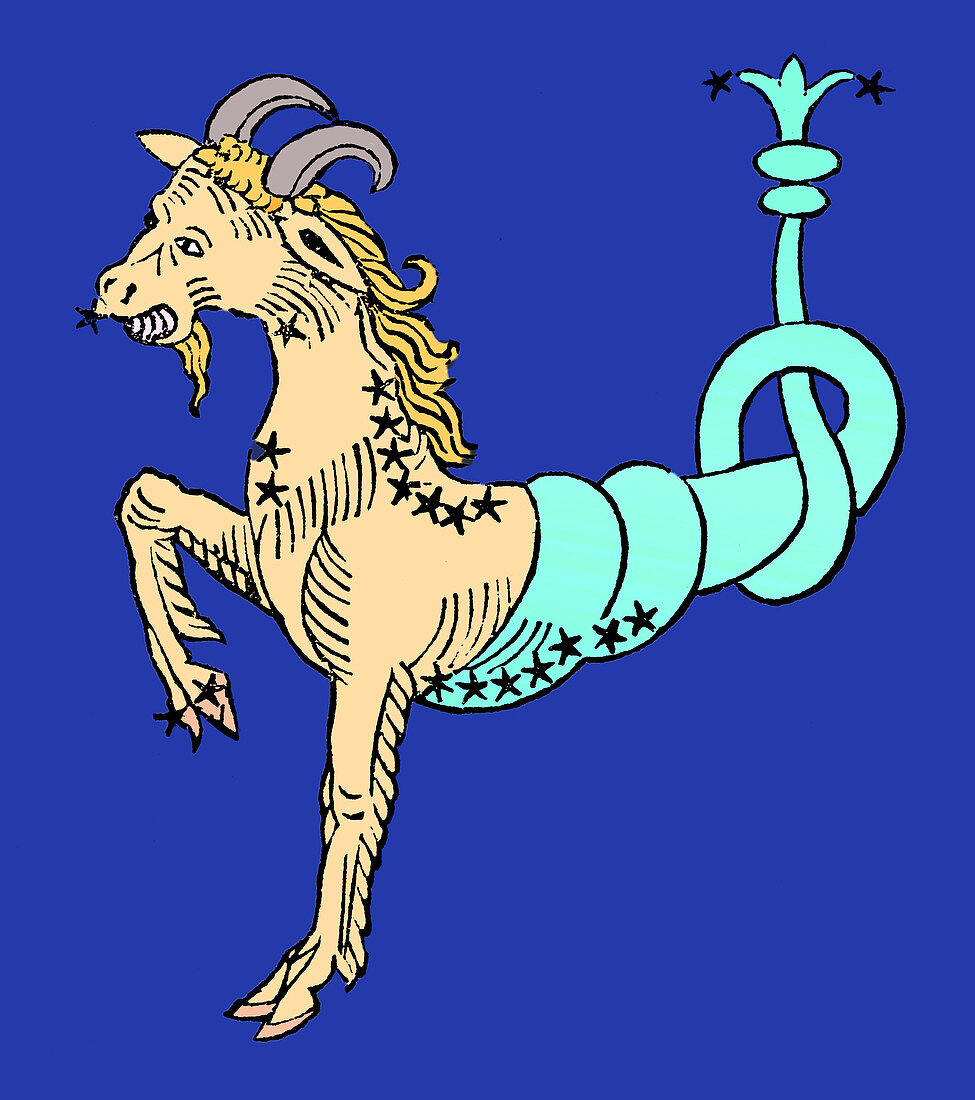 Sea-Goat, Capricornus Constellation