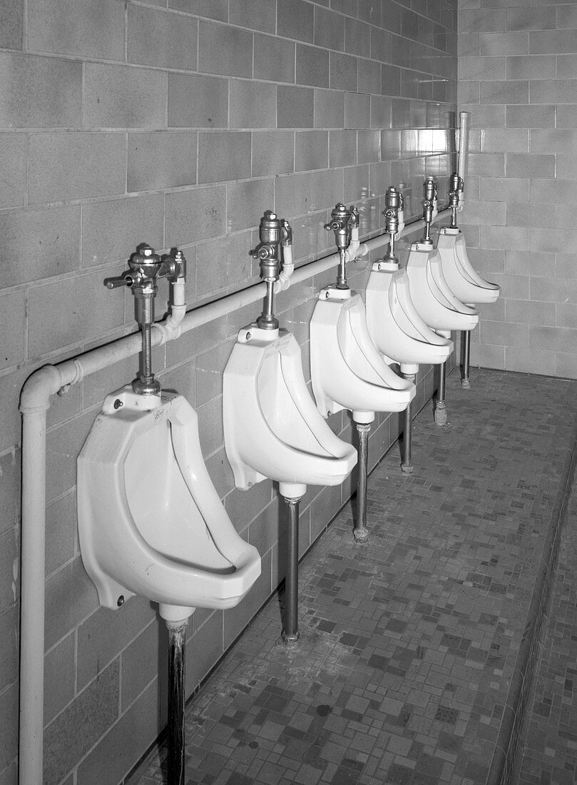 Mens Room Urinals, 20th Century