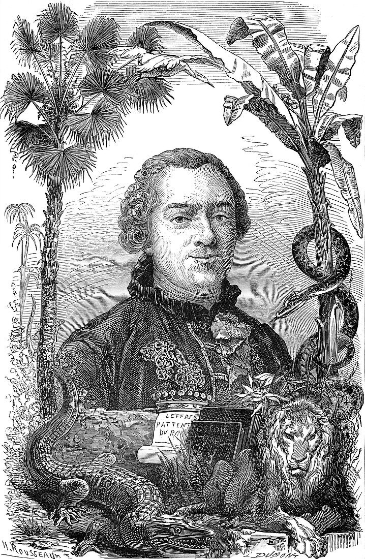 Georges Leclerc, Comte de Buffon, French Polymath