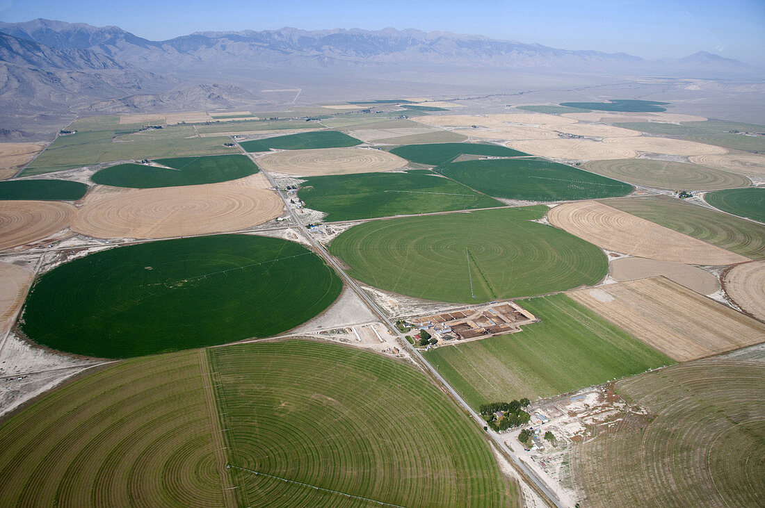 Center Pivot Irrigation in Eastern, USA