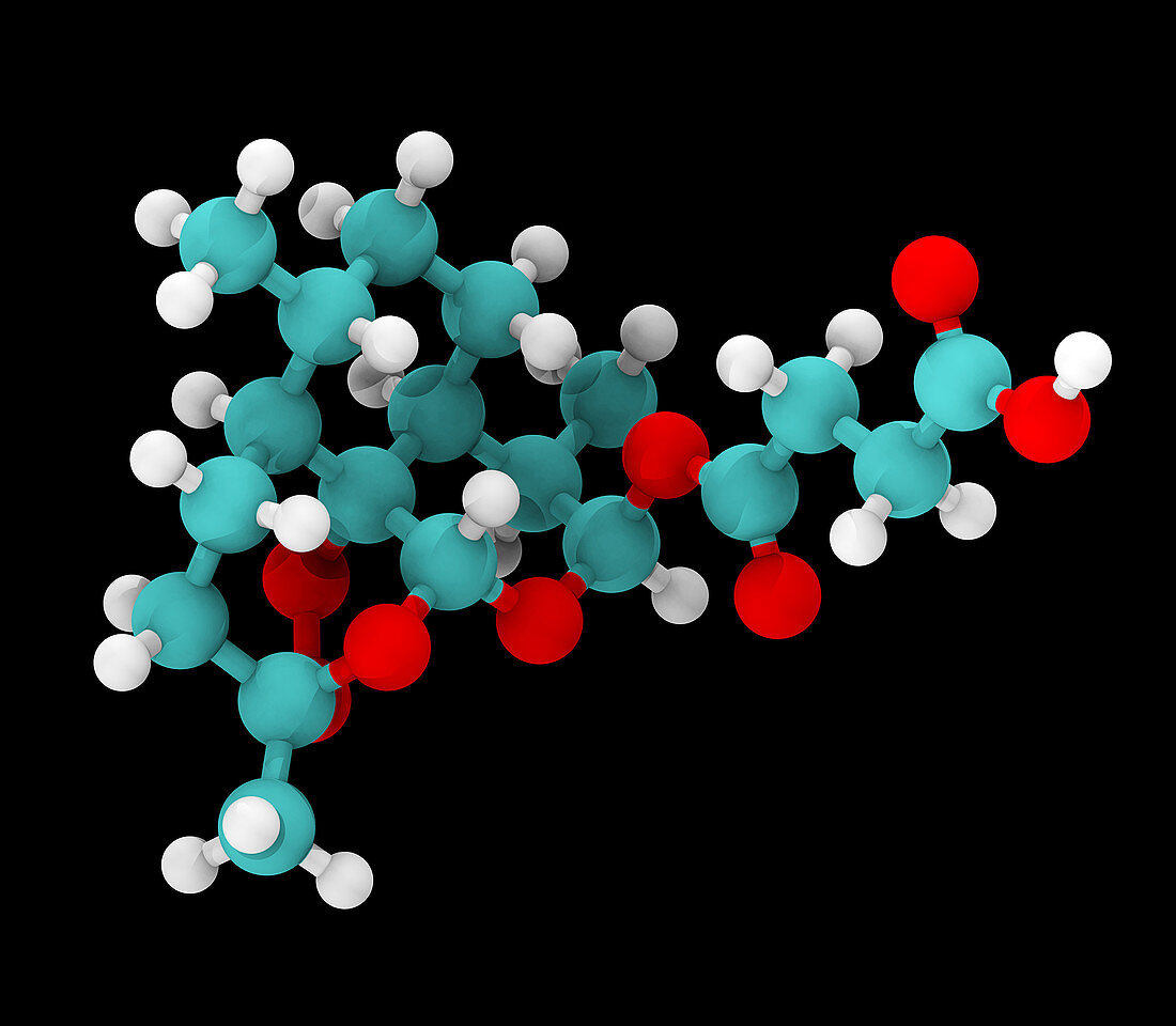 Artesunate, Molecular Model