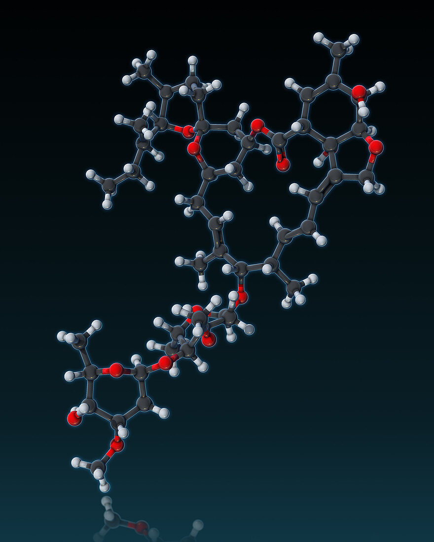 Ivermectin, molecular model