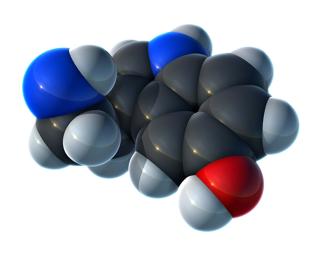 Serotonin, molecular model