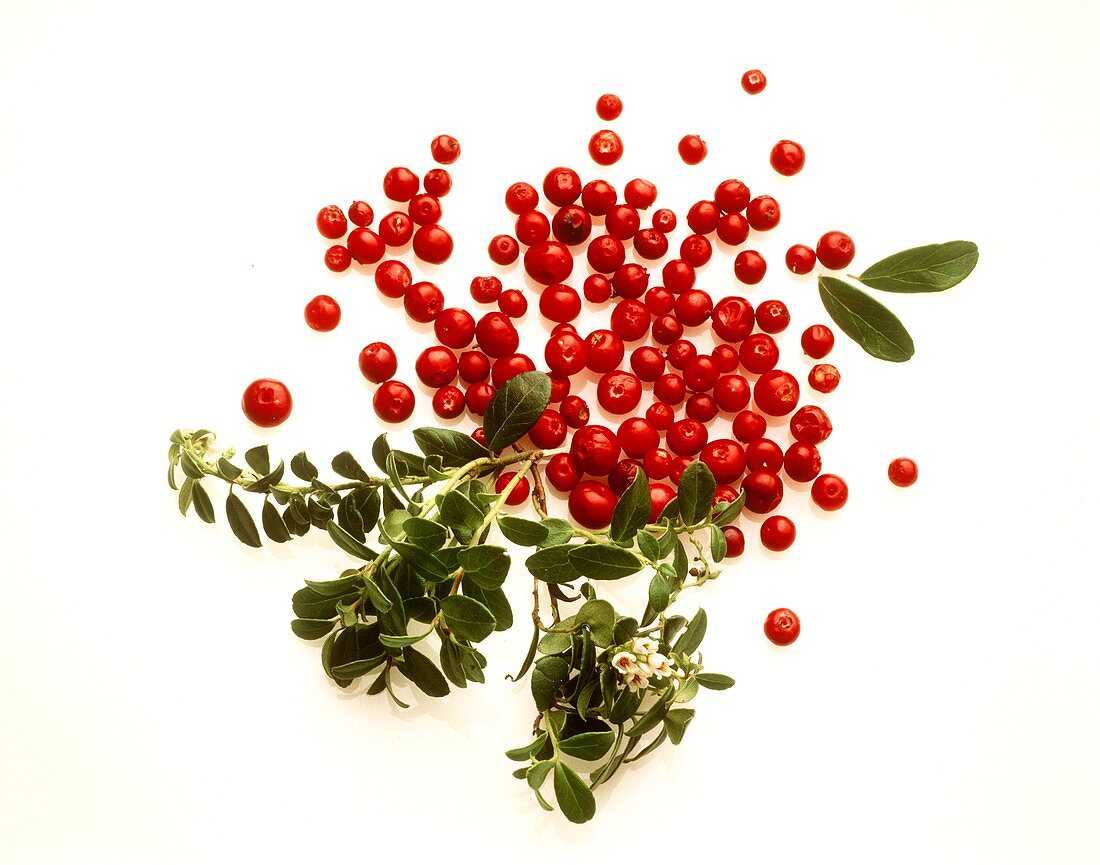 Several Cranberries with Cranberry Leaves
