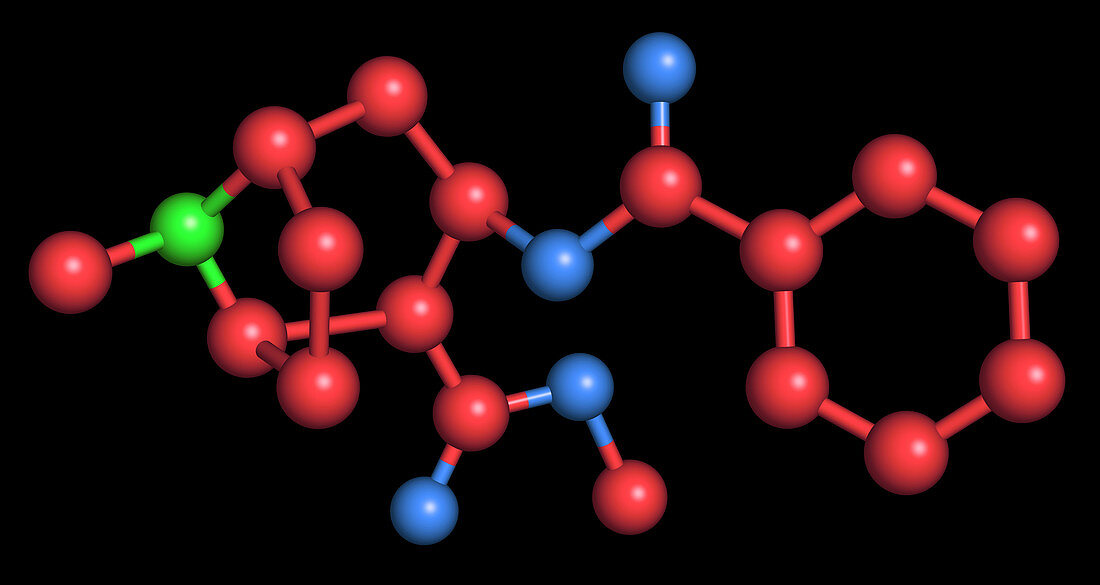 Cocaine Molecule