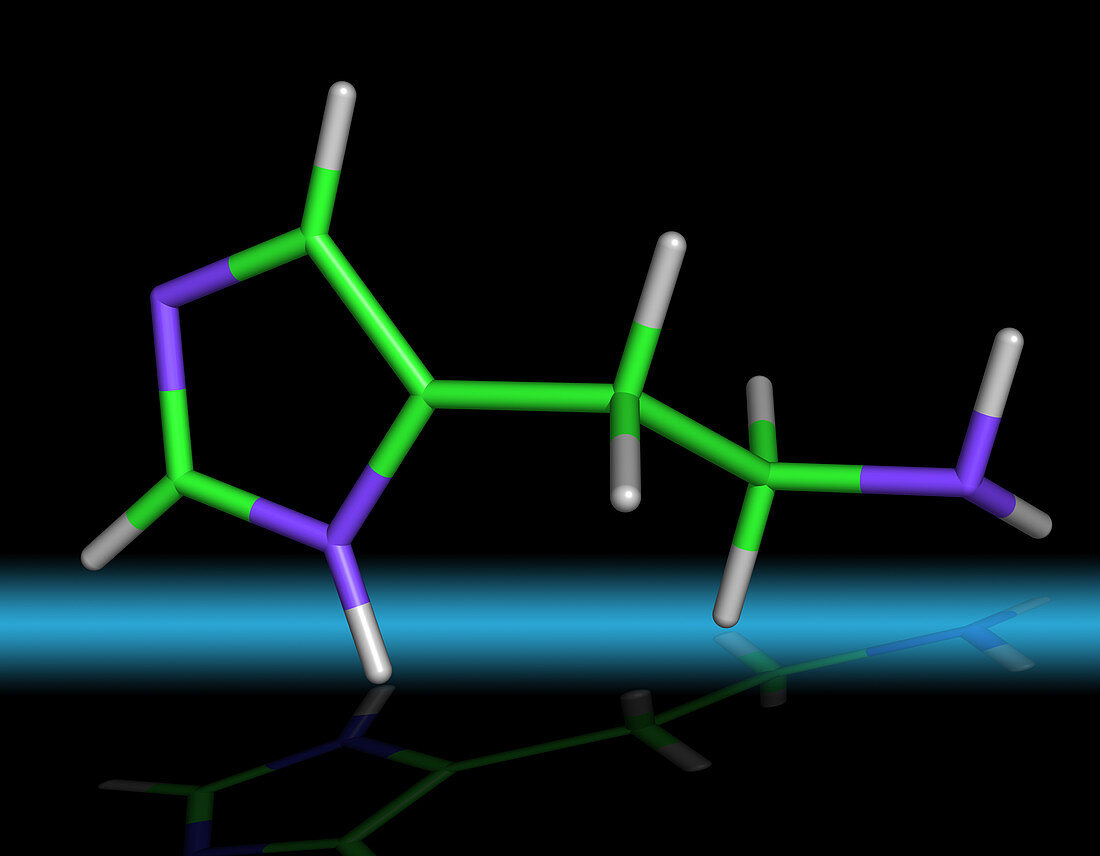 Histamine Molecule