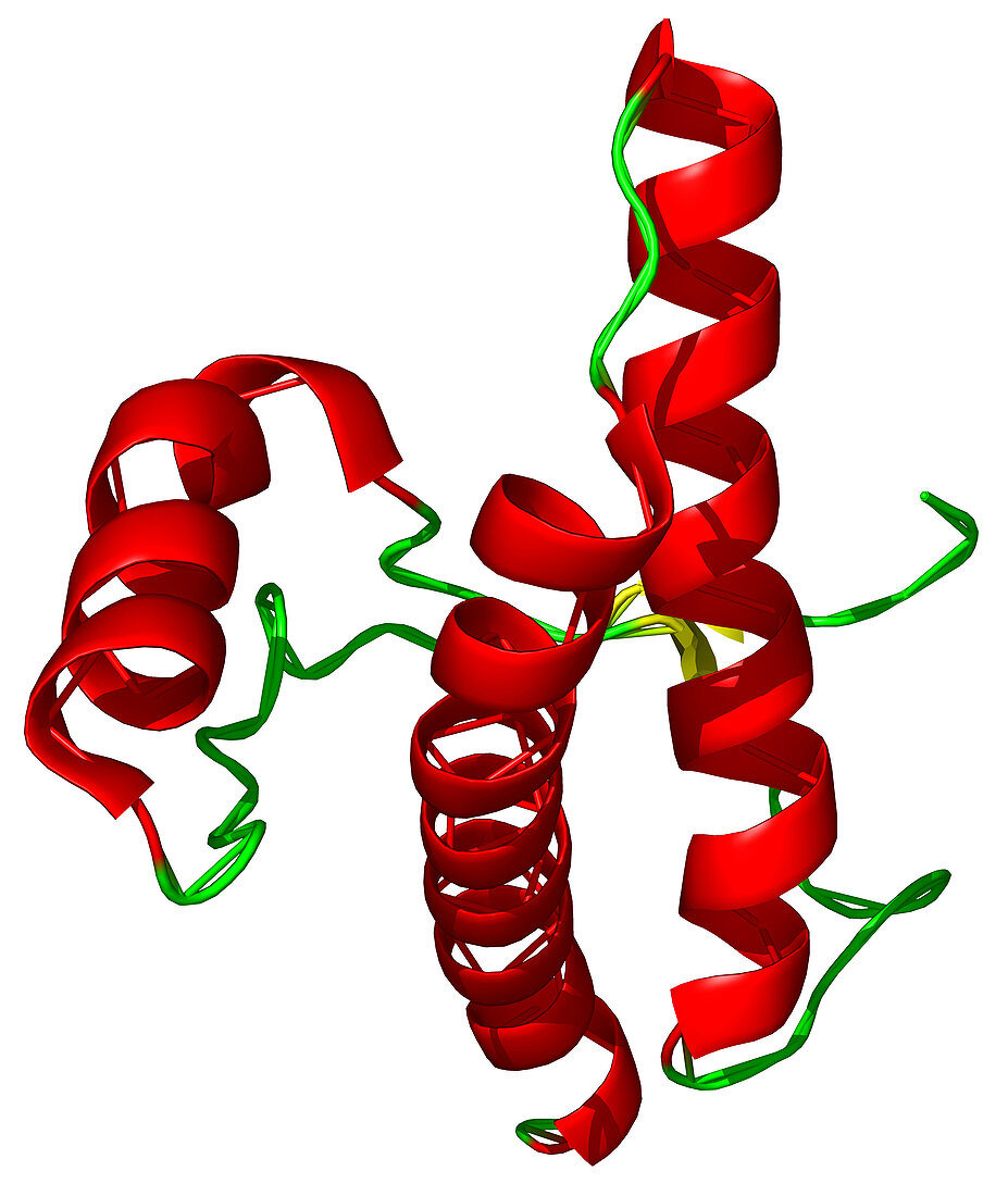 Prion protein model
