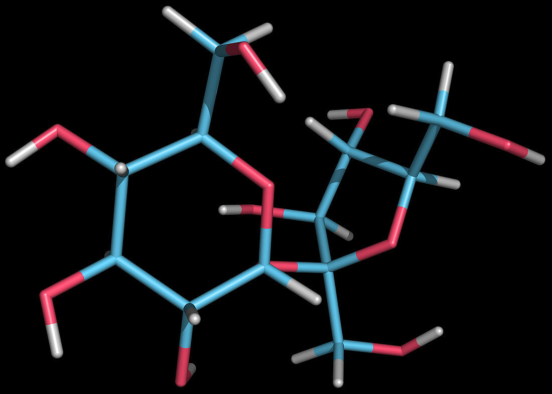 Sucrose Molecule