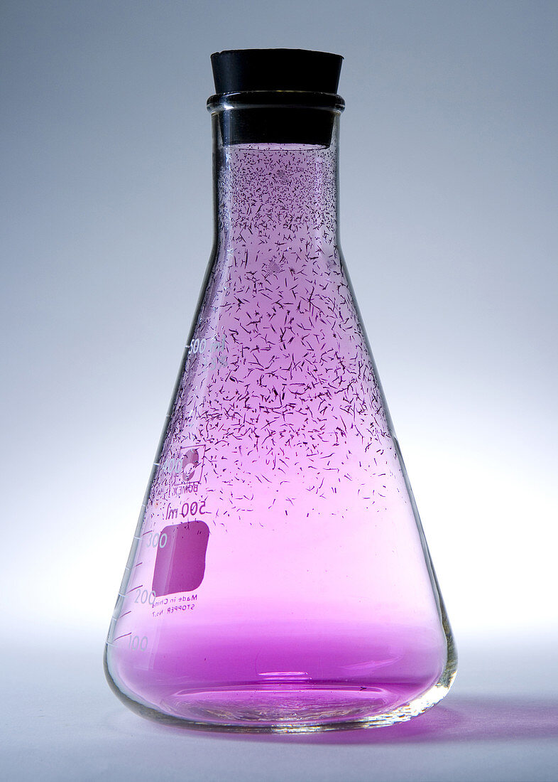 Erlenmeyer Flask Containing I2 Gas and Solids