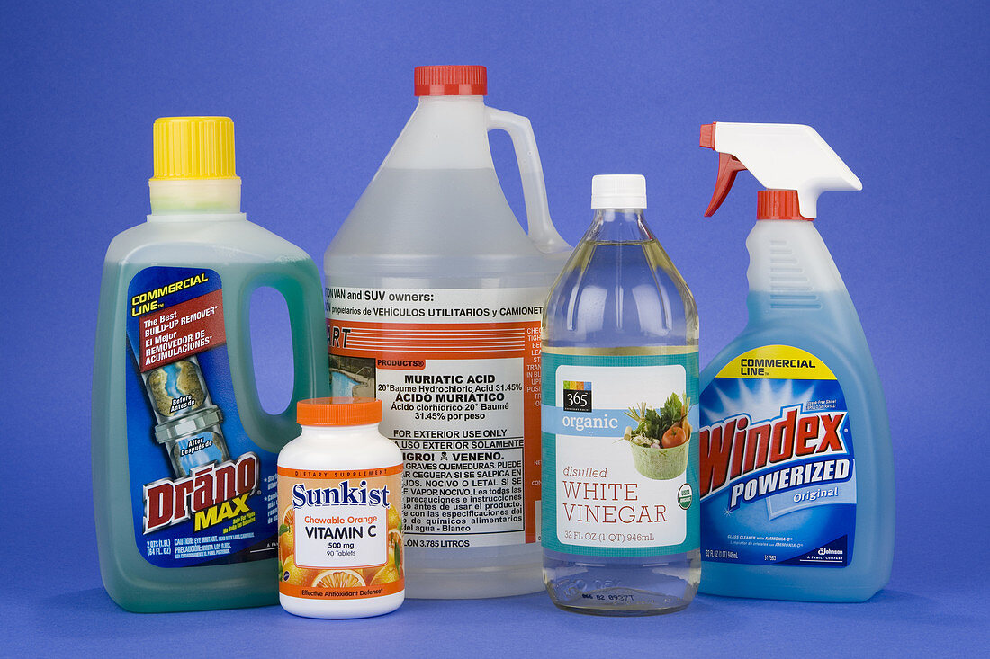 Common Household Acids and Bases