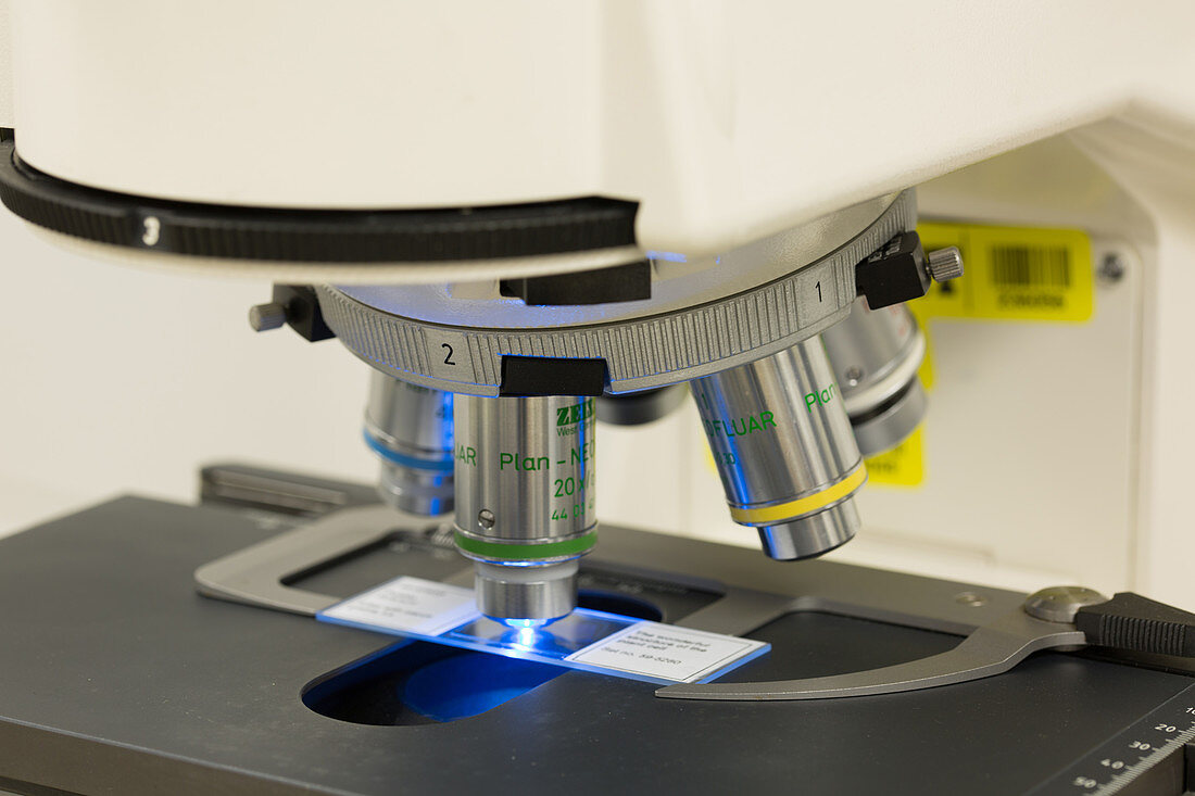 Laboratory Fluorescent Microscope