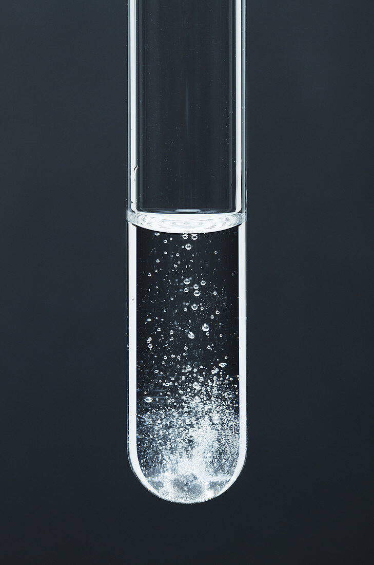 Calcium reacts with hydrochloric acid, 2 of 3